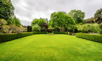 A Short History of the American Lawn