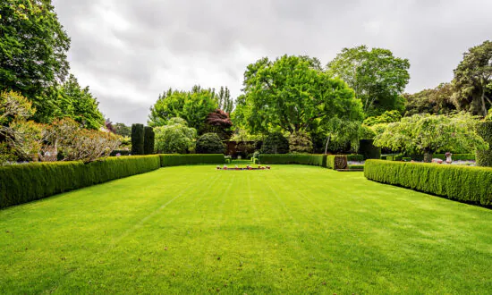 A Short History of the American Lawn