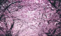 What You Can Learn From the Spring Equinox