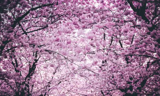 What You Can Learn From the Spring Equinox