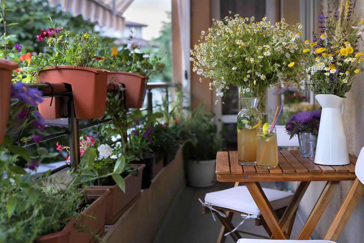 Research has shown how the havens that urban gardeners create provide plentiful nectar. (Isa Long/Shutterstock)