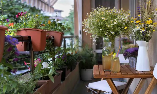 Urban Gardens Are Crucial Food Sources for Pollinators – Here’s What to Plant for Every Season