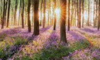 Becoming Unhurried