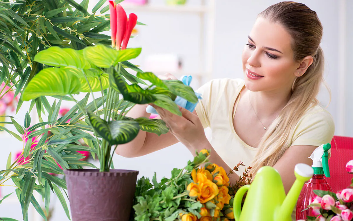 Taking care of indoor plants takes knowledge of what that specific plant needs and a routine for caring for it. (Elnur/Shutterstock)