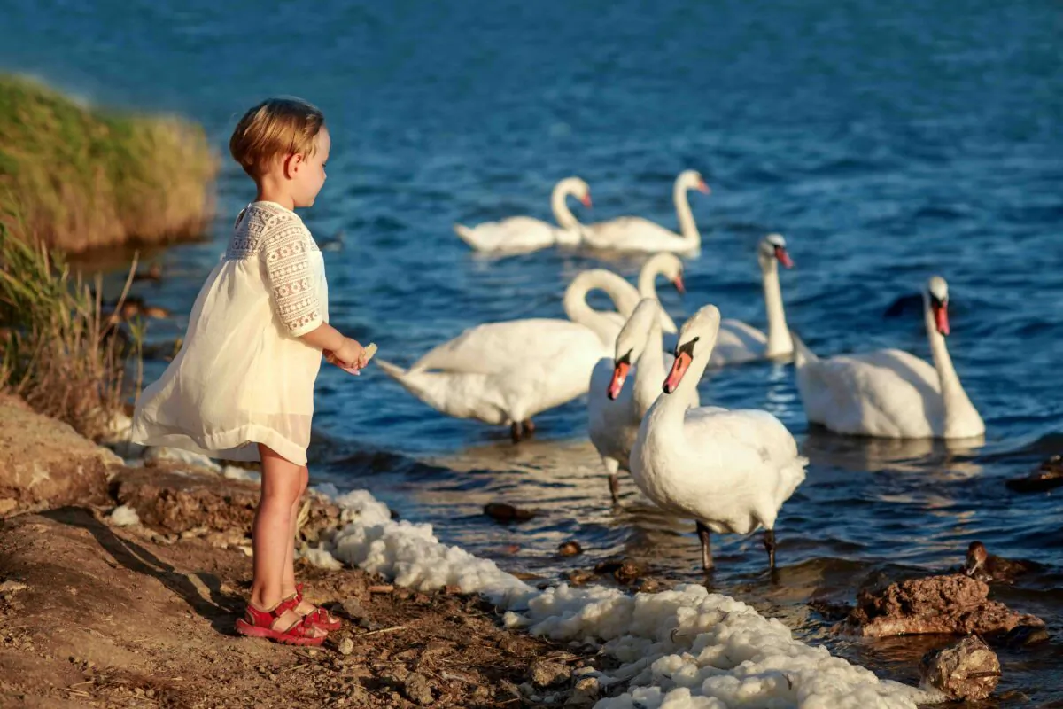 A student who can read and digest a certain text will be able to use knowledge gleaned to engage others in society. (Galina Sharapova/Shutterstock)