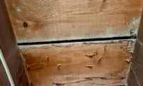 What You Learn Nosing Around an Old House