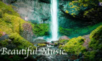 Beautiful, Relaxing, and Healing Music | Xiao and Bamboo Flute | Instrumental Music Collection