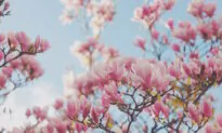 On the Road to Recovery: A Spiritual Journey Begins