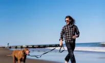 Beachbound in Dog-Friendly Delaware’s Off Season