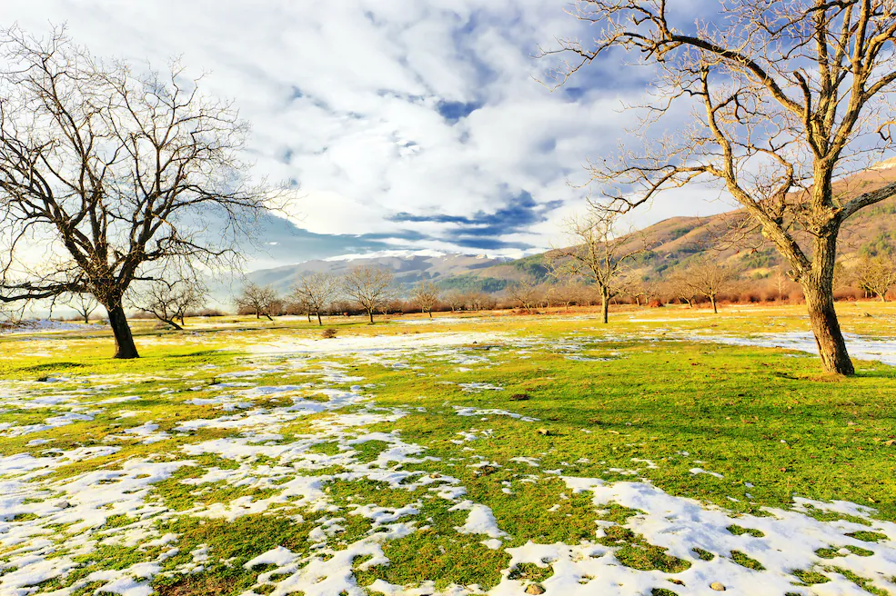 (Plamen/Shutterstock)