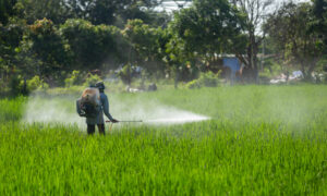 Glyphosate, Explained