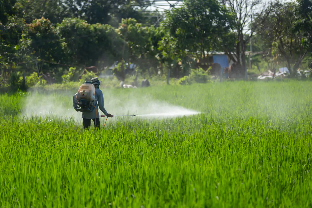 Scientists now link glyphosate to a number of human health problems, from cancer and neurological diseases to endocrine disruption and birth defects. (Shutterstock)