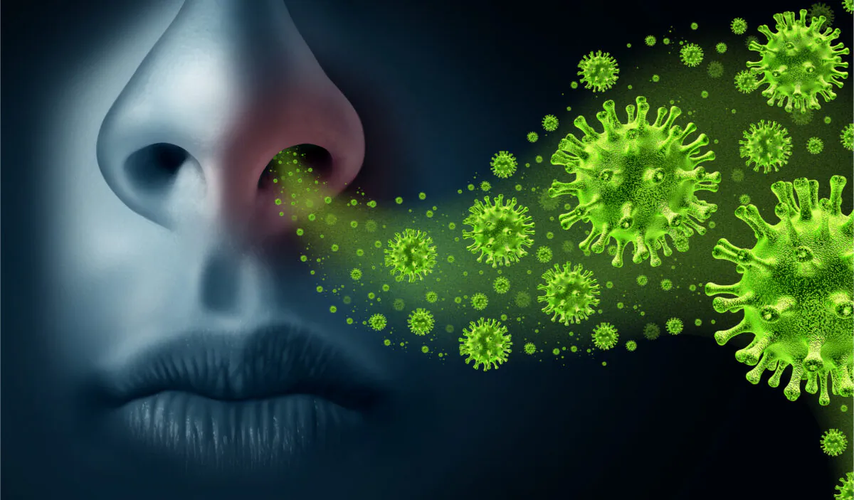 (Lightspring/Shutterstock)