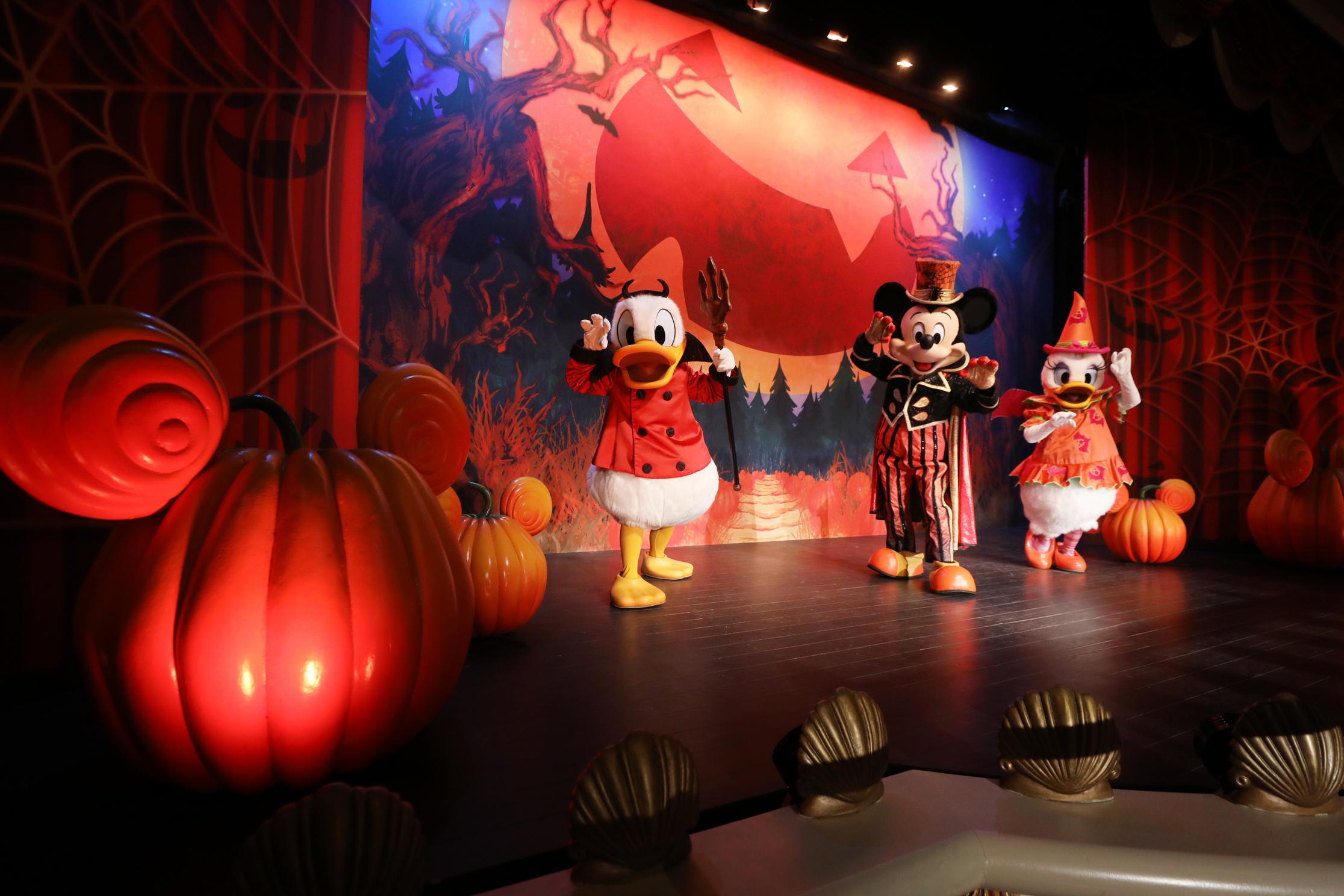 Disney's Park Segment Continue to Win Analyst Confidence - Vimarsana News