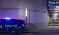 18-Year-Old Arrested in Fatal Shooting at Chicago-Area Mall