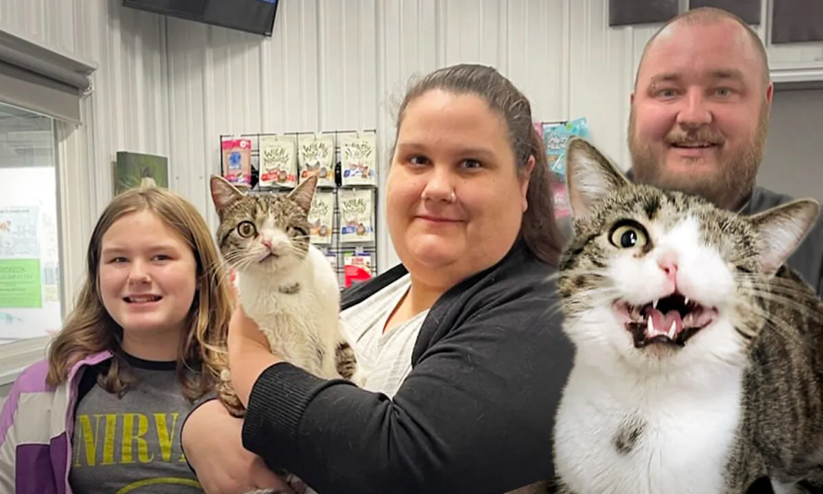 (Courtesy of Fairfield Area Humane Society)
