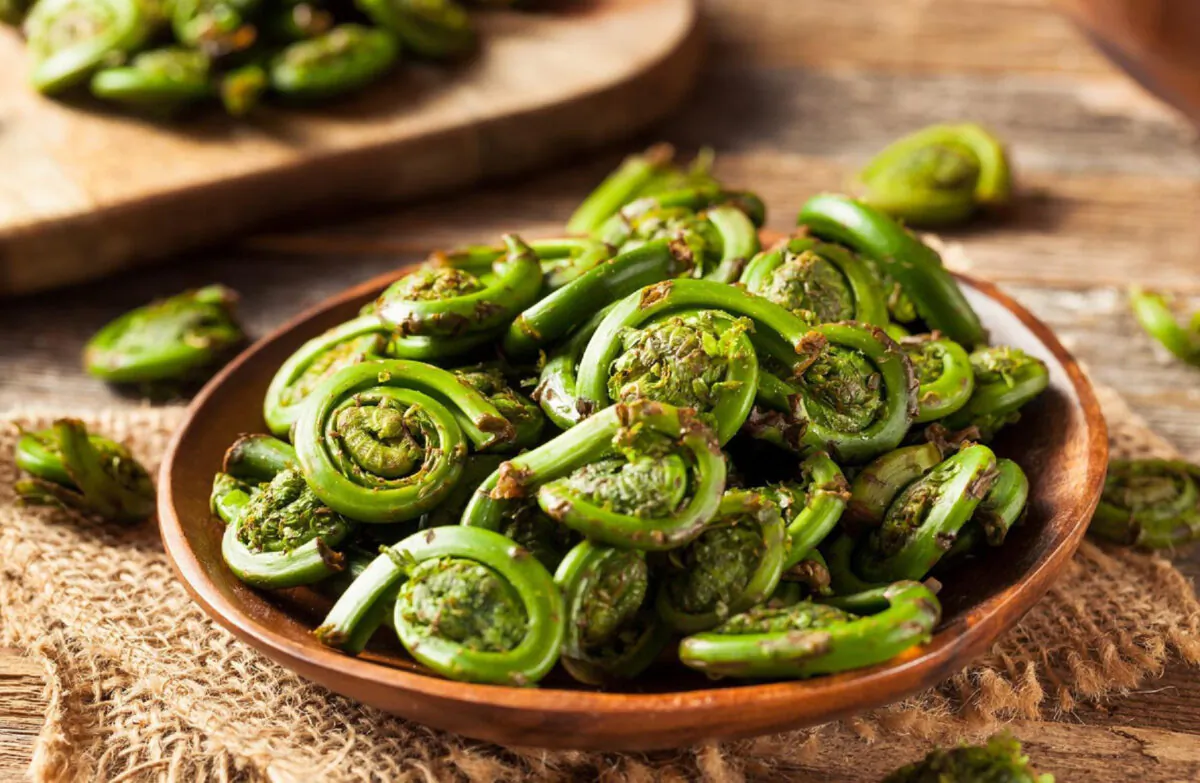 Fiddleheads are considered a delicacy by many, but take care not to undercook them. (bhofack2/iStock via Getty Images)