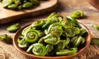 What Is a Fiddlehead?