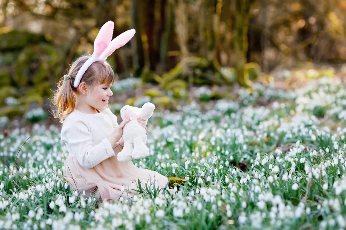 In most cases it is more considerate to gift a stuffed toy bunny instead of a live one. (Irina Wilhauk/Shutterstock)