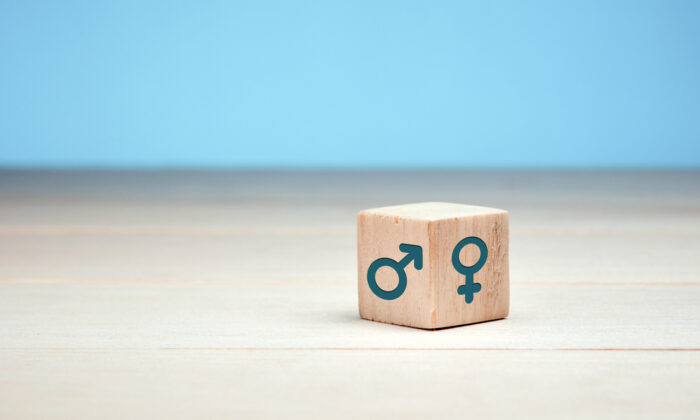 A file photo showing male and female gender icons on two sides of a wooden cube. (Shutterstock)