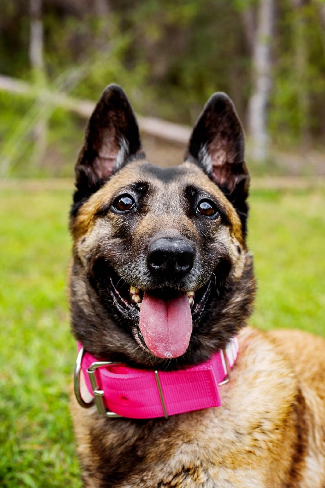 Layka in Her Pink Color