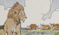 Aesop’s Fables: Three Bullocks and a Lion