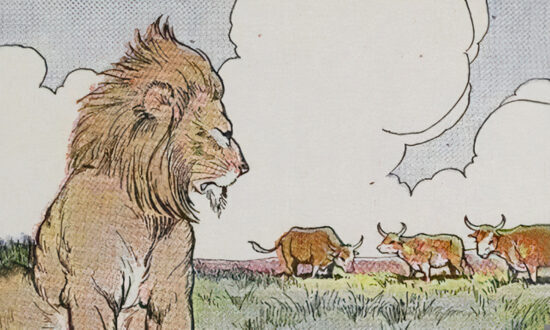 Aesop’s Fables: Three Bullocks and a Lion