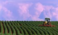 US Authorities Issue Final Order Allowing PEI Table Potatoes Back Over Border