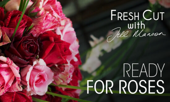 Ready for Roses | Fresh Cut