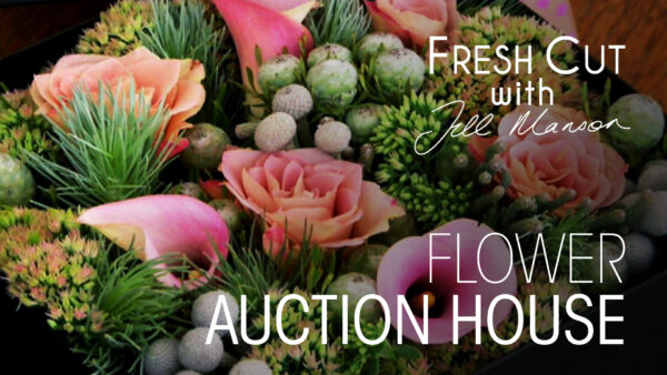 Flower Auction House | Fresh Cut