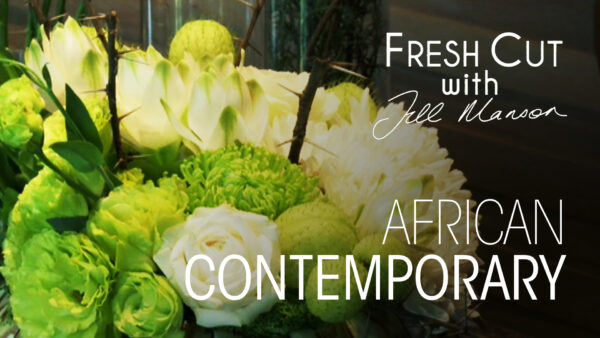 African Contemporary Theme | Fresh Cut
