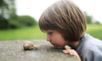 Kids Need Questions