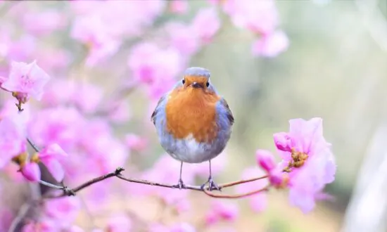 101 Inspiring Quotes to Help You Spring Forward