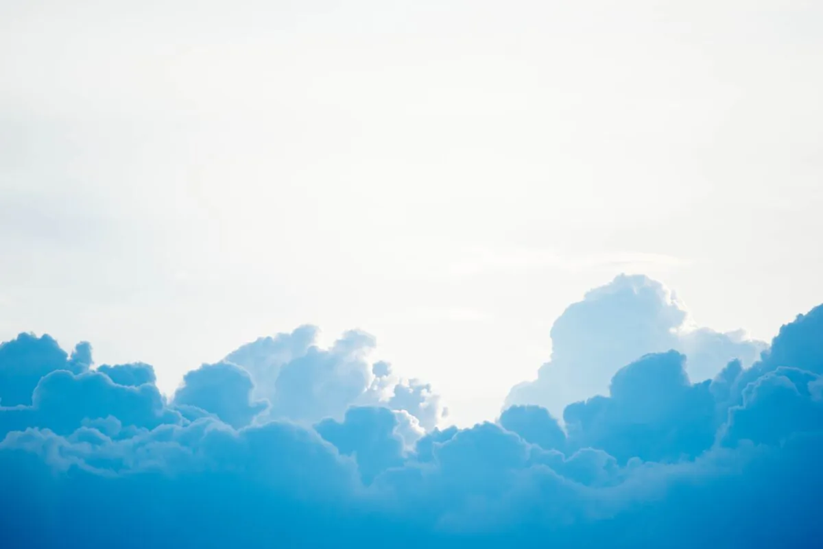 (Chuttersnap/Unsplash)