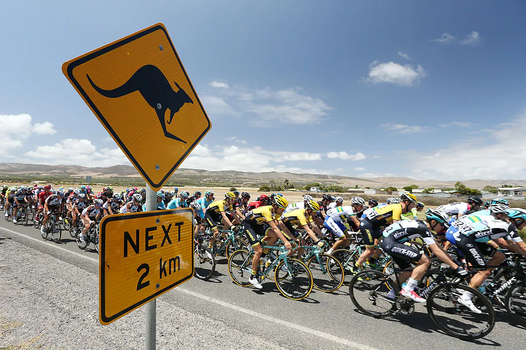 The peloton rides past a roadsign warning of kangaroos during the 2015 Santos Tour Down Under in South Australia, Australia on January 24, 2015.  (Photo by Morne de Klerk/Getty Images)