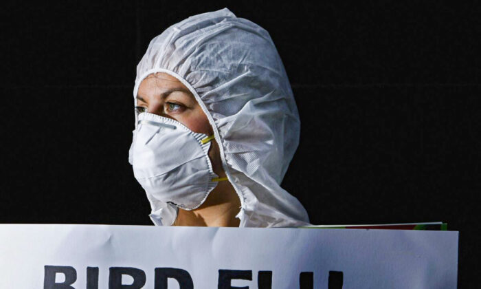 A member of PETA is seen wearing a biohazard suit and carrying a sign reading "Bird Flu Kills Go Vegetarian" in Edinburgh on April 10, 2006.   (Jeff J Mitchell/Getty Images)