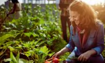 Organic Isn’t Always More Expensive