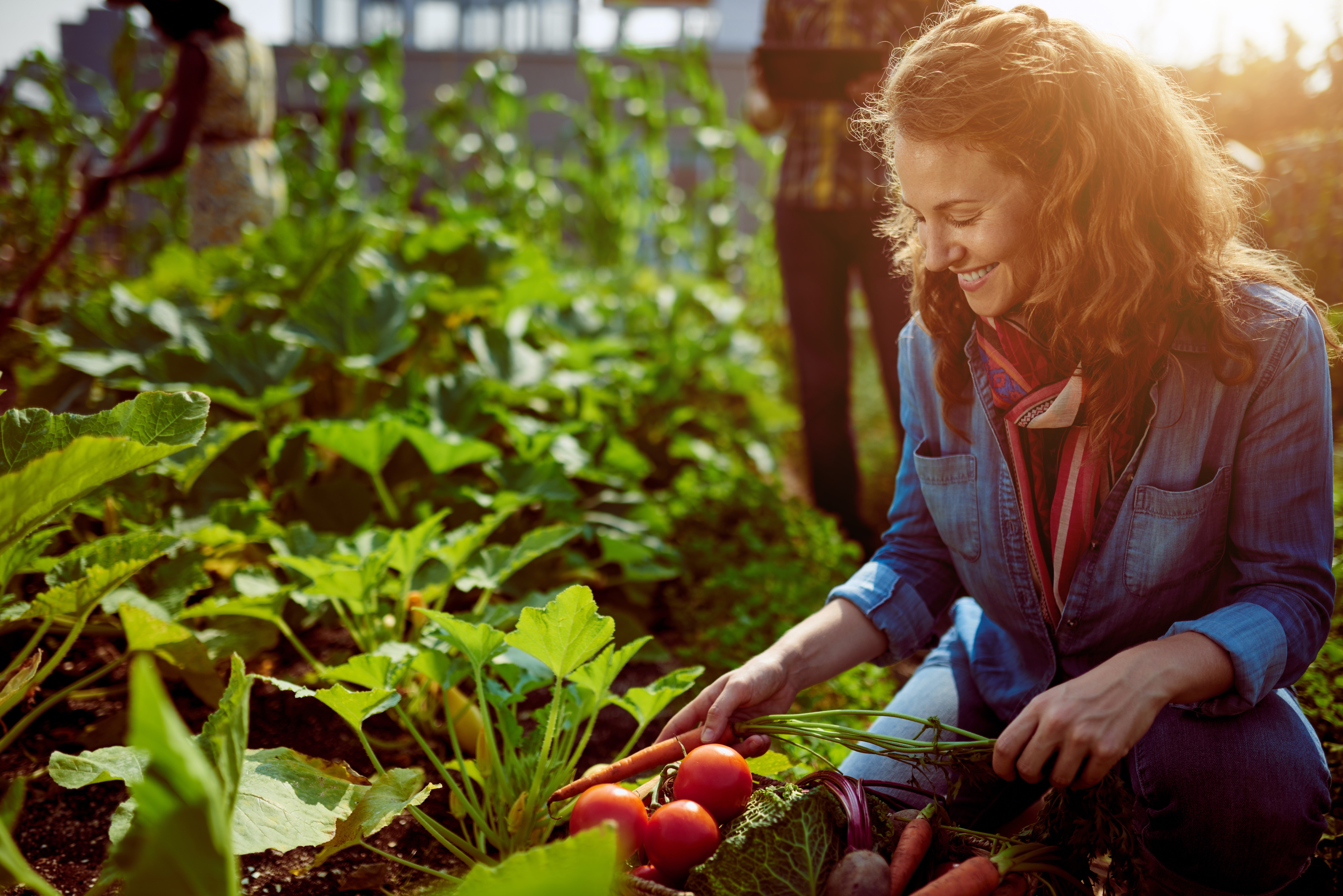 Organic Isn't Always More Expensive - Vimarsana News