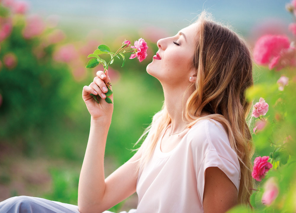 (DPonomarenkoNataly/Shutterstock)