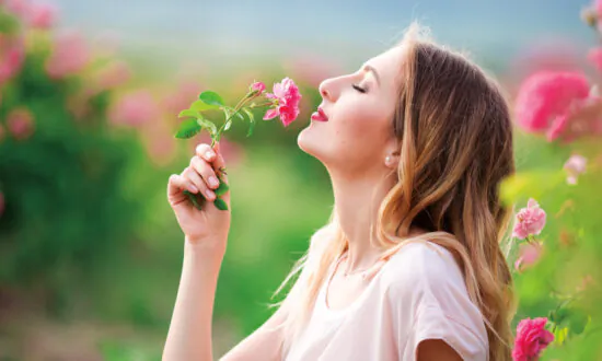 Don’t Smell the Roses; Breathe Them In
