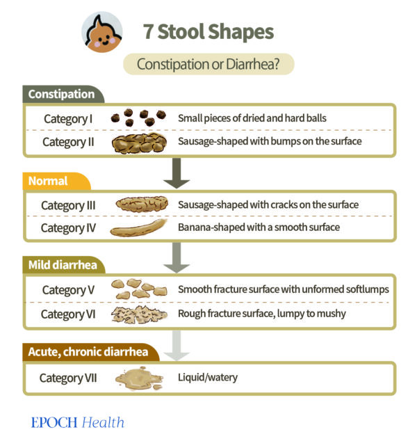 7 Stool Shapes That Signal Health WarningsEat This to Relieve