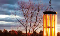 The Magic of Wind Chimes