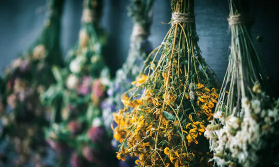 Dry Your Own Herbs