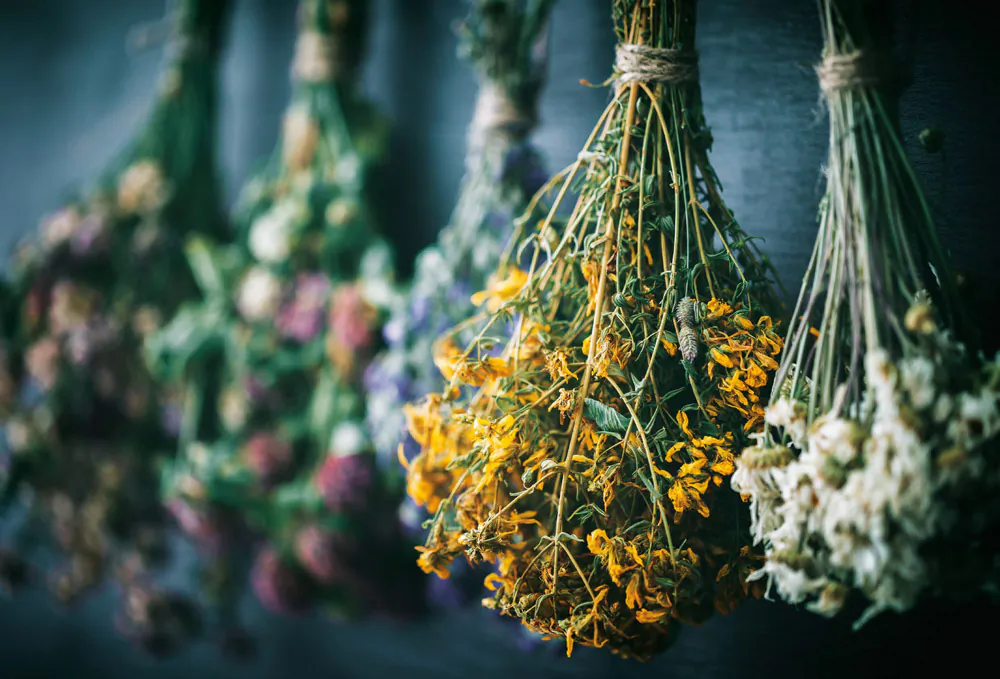 (Chamille White/Shutterstock)