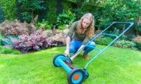 Lawn Mower Alternatives