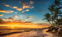 Only in South Florida: These 7 Destinations Are Iconic With a Kitschy Twist
