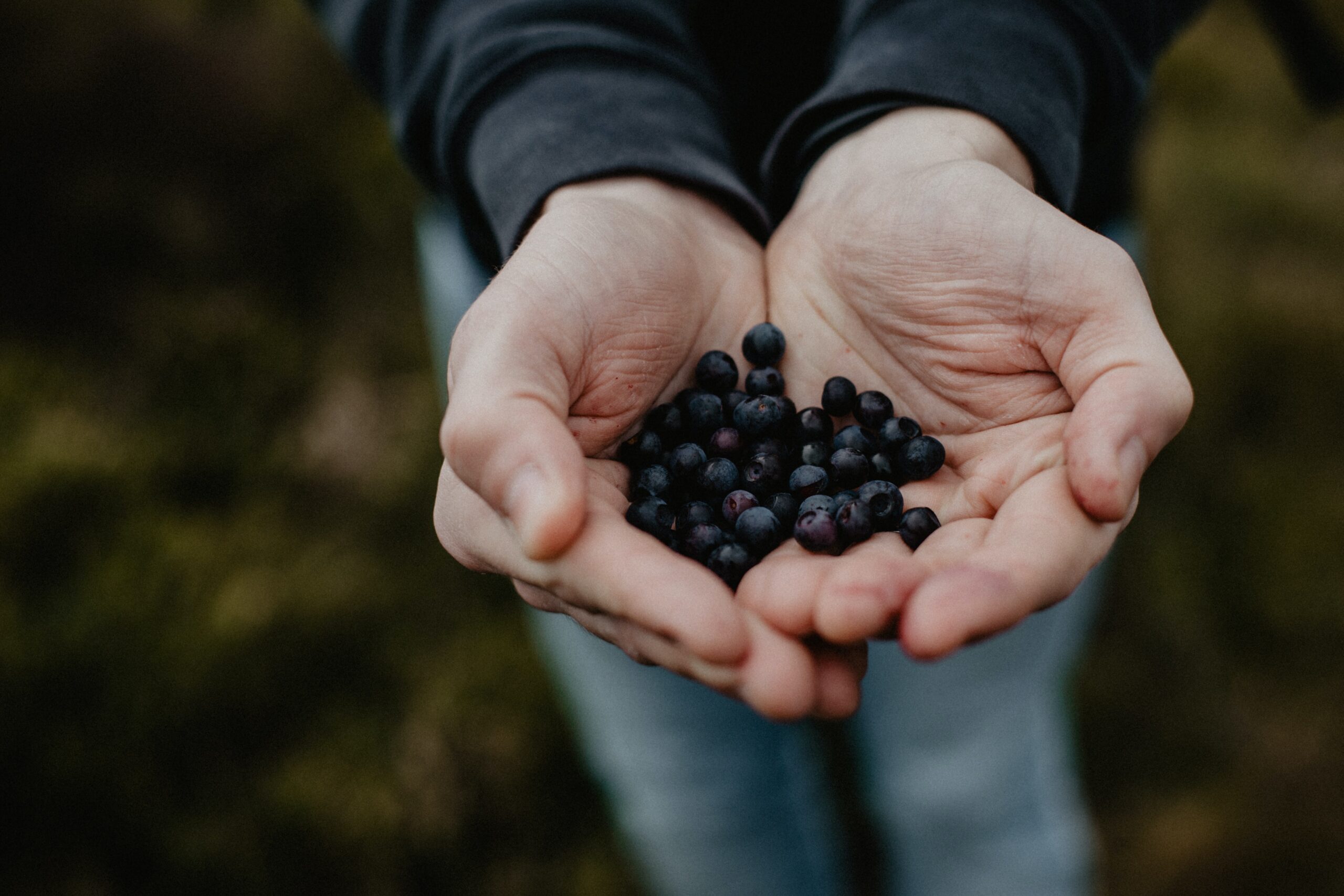 Foraging: Enjoying Nature's Harvest - Vimarsana News