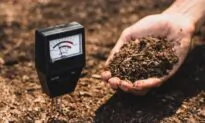 Testing Soil
