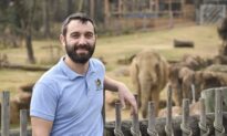 Bank Worker-Turned-Zookeeper Relishes the Joys of Tending to Gentle Elephants