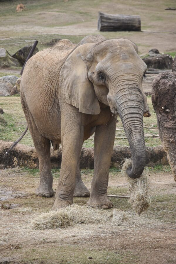 Epoch Times Photo